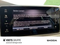 Skoda Scala - Vorschau Bild 9