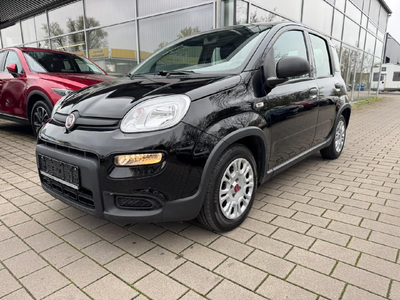 Fiat Panda Base
