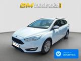Ford Focus Kombi*Business*Navi*PDC*Zahnriemen NEU - Ford Focus: Zahnriemen