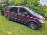 Mercedes-Benz Mercedes Benz Vito 115CDI Transporter TÜV ... - Mercedes-Benz Vito: Transporter