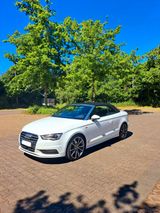 Audi A3 2.0 TDI Cabrio S-Line Plus/ACC/Kamera/19" - Audi A3: 19 TDI