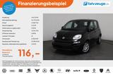 Fiat Panda 1.0 Mild-Hybrid Pandina Icon *PDC*LKA*DAB* - Fiat Panda Neuwagen