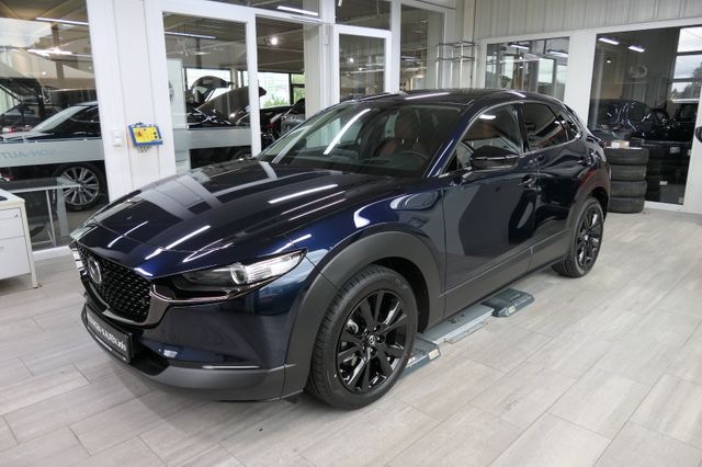 Mazda CX-30 >2025< / e-SKYACTIV X 186 Nagisa Automatik