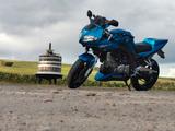 Suzuki SV650S - SUZUKI 2006 SV650S