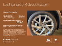 Cupra Formentor - Vorschau Bild 9