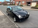 Volkswagen Lupo 1.4 College College 75ps Benzin schwarz pkw - Volkswagen Lupo: 1.7