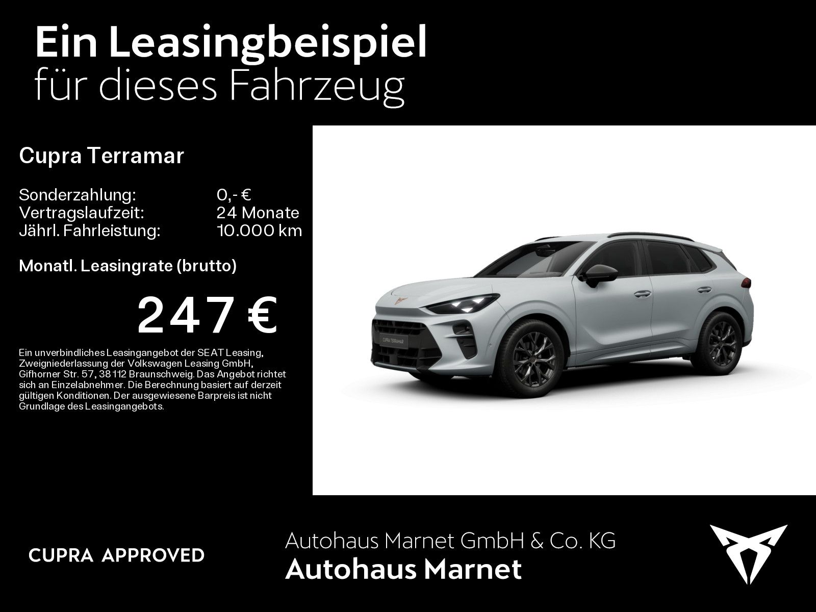Cupra Terramar - Bild 2