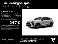 Cupra Terramar - Vorschau Bild 2
