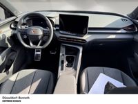 Cupra Terramar - Vorschau Bild 6