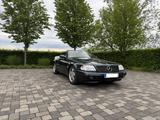 Mercedes-Benz SL 280 Liebhaberfahrzeug im Sammlerzustand - Mercedes-Benz SL 280 von privat