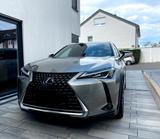 Lexus UX 250h Launch Edition   - Lexus UX Gebrauchtwagen