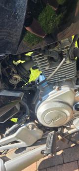 Yamaha YBR 125 - Offers