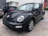Volkswagen Beetle - Volkswagen Beetle in Köln