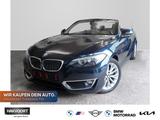 BMW 220i Luxury Line ""Leder Klima PDC 17"LM" - gebrauchte BMW Cabrios