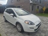 Fiat Punto 1.2 8V S S - Fiat Punto in Bremen