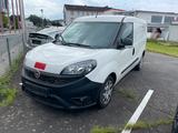 Fiat Doblo Cargo Maxi Trenngitter verstellbar Freispr - Fiat Cargo doblo