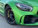 Mercedes-Benz AMG GT R - Mercedes-Benz AMG GT R: Sportwagen