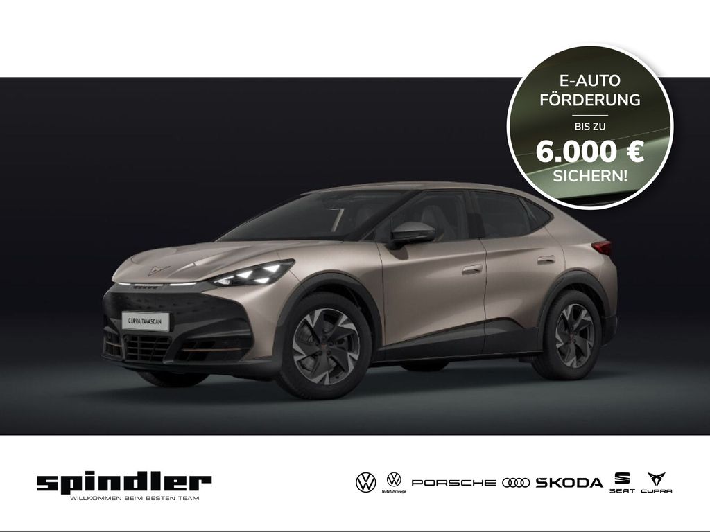 Tavascan Endurance ++sofort verfügbar++