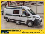 Chausson V594 FIRST LINE L / MODELL 2026 / 140 PS - Wohnwagen & Wohnmobile in Münster