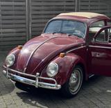 Volkswagen Käfer Faltdach 1969 TÜV bis 09/2026