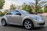 Volkswagen Beetle 1.4 TSI BMT Sport Pano  - Volkswagen Beetle: Sport