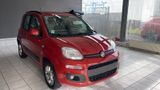 Fiat Panda Lounge - Fiat Panda mit Benzin-Antrieb: Kleinwagen, Automatik