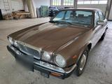 Jaguar XJ12,Klima,Schiebedach - Jaguar Gebrauchtwagen von 1985