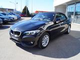 BMW 218i Cabrio Advantage * Navi * LED * - BMW: Roadster