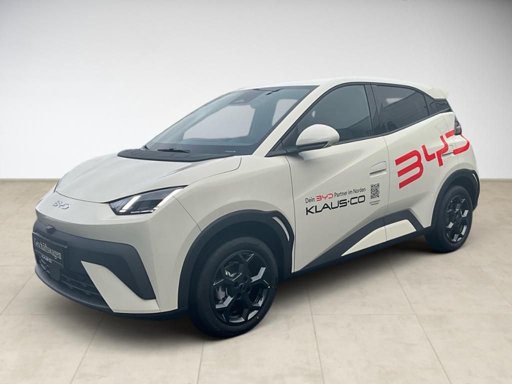 BYD DOLPHIN SURF
