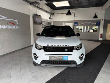 Land-Rover Discovery - 2