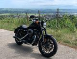 Harley-Davidson Roadster 1200 mattschwarz 6300 km *Top Zustand*