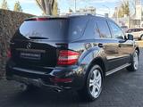 Mercedes-Benz ML 500 5,5l V8 AMG Comand Bi Xenon H&K AHK RFK  - Mercedes-Benz Ml AMG