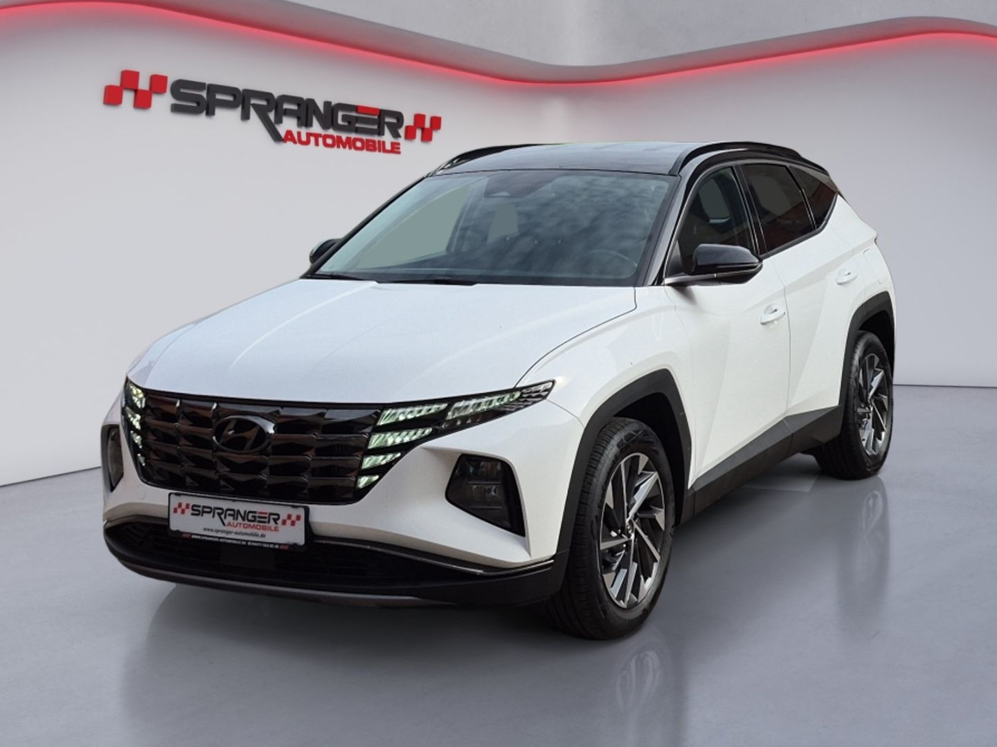 Hyundai Tucson 1.6 T-GDI Mild-Hybrid R-Cam. NAVI Sitzh. 
