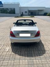 Mercedes-Benz SLK 55 AMG *auf Wunsch TÜV NEU* - Mercedes-Benz: AMG Slk 55
