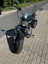 Harley-Davidson Sportster XL 1200 Custom  unter 3000km - HARLEY-DAVIDSON SPORTSTER 1200 XL CUSTOM