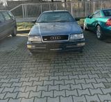 Audi V8 D11 Bj. 1991 - Audi V8