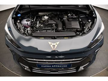 Cupra Terramar - 12