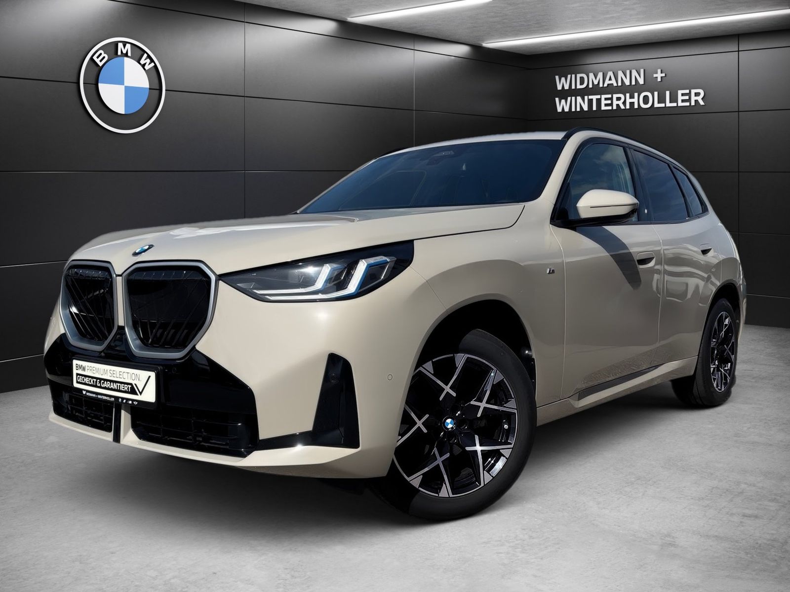 BMW X3 20d xDrive M Sport ad.LED PA Pro DA DA AHK LR foto 2