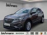 Opel Grandland Edition RFK PDCvh Kli2 SHZ AHKa - Opel Grandland (X): Grau