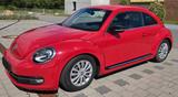 Volkswagen VW Beetle 1.4 TSI Sportline / STEUERKETTE NEU - Volkswagen: Sportline