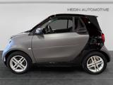 Smart EQ fortwo cabrio KAM|SHZ|KLIMA|LMF|TEMP|uvm.| - Smart mit Elektro-Antrieb: Cabrio