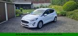 Ford Fiesta Cool & Connect *PDC h*W-Paket*Allwett*1.H - Ford Gebrauchtwagen in Wuppertal