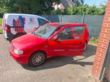 Volkswagen WV Polo 6n GTI Jungtimer Original Zustand - Volkswagen Polo: Original