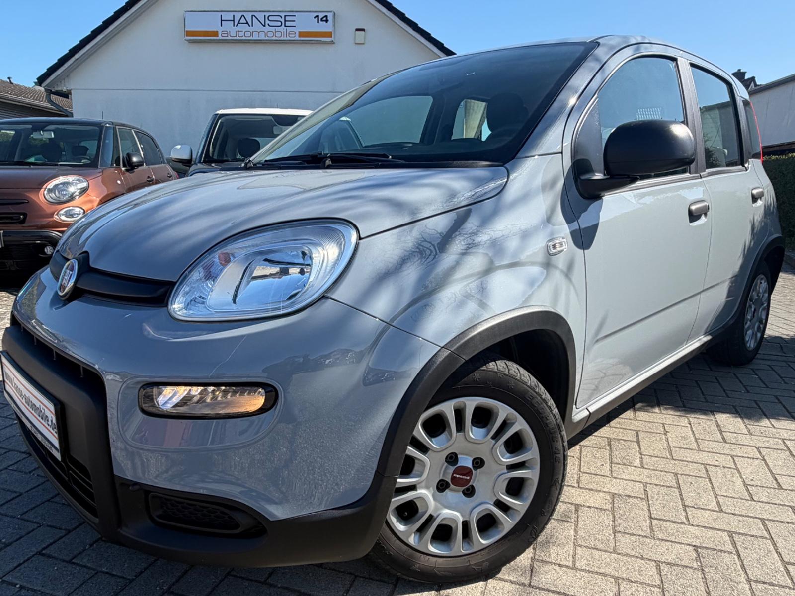 Fiat Panda 1.0 Hybrid GSE Cross-Klima-1.Hd-Allwetter-