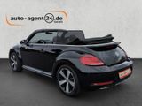 Volkswagen Beetle Cabrio 1.4 TSI Allstar+/R-Line/Kamera - Volkswagen Beetle: Automatik