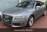 Audi A5 2.0 TFSI Quattro Cabrio S-Line/Leder/Xenon - Audi A5 aus 2009: Cabrio