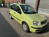 Fiat Panda 1.2l Klima KEIN TÜV - Fiat Panda Gebrauchtwagen in Mönchengladbach
