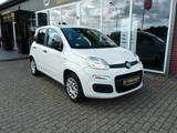 Fiat Panda Easy*Klima*Radio-DAB+*Bluetooth*GJ-Räder* - gebrauchte Fiat Panda aus dem Jahr 2019
