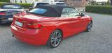 BMW 228i Cabrio xdrive Navi Professional - BMW 2er Reihe: Cabrio