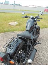 Honda CMX 500 Rebel - CHOPPER VON 251 BIS 500 CCM
